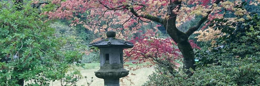 林造園の画像