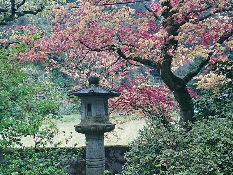 林造園の画像